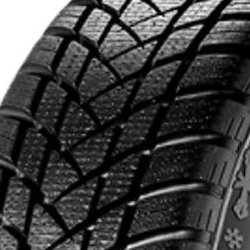 GT Radial Champiro Winterpro 2 ( 195/65 R15 95T XL )