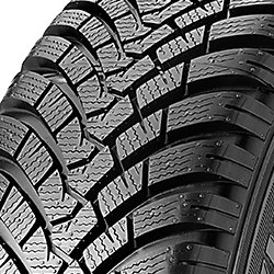 Falken EUROWINTER HS01 RUNFLAT ( 205/60 R16 92H