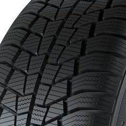 Gislaved Euro*Frost 6 ( 205/55 R16 91T )