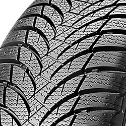 Nexen Winguard SnowG WH2 ( 165/70 R13 79T 4PR )