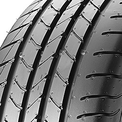 Goodyear EfficientGrip FEV ( 205/55 R16 91H )