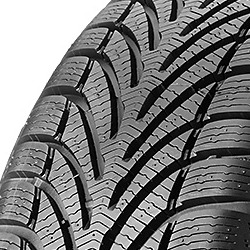 BF Goodrich g-Force Winter ( 205/60 R15 95H XL )