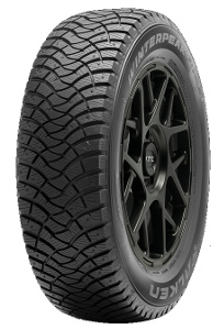 Falken WINTERPEAK F-ICE 1 ( 195/65 R15 95T XL