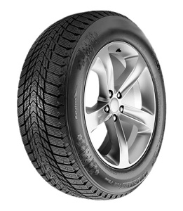 Roadstone Winguard Ice Plus ( 245/45 R17 99T XL