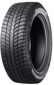 Winrun Ice Rooter WR66 ( 255/55 R20 110H XL