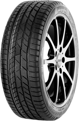 Profil Pro All Weather ( 195/65 R15 91H