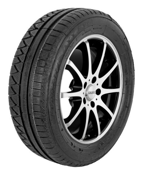 Profil Winter Maxx Evo ( 205/60 R16 92H